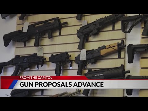 Several gun bills advance following end of legislative session