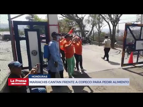 Mariachis cantan frente a Copeco para pedir alimento en medio de la cuarentena