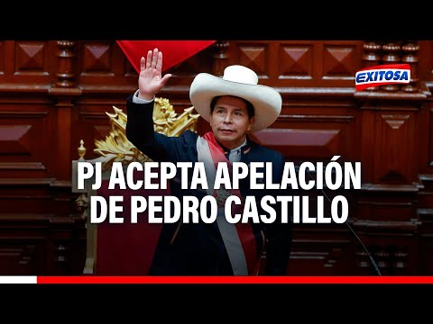 PJ acepta apelación de Pedro Castillo para revisar medida de prisión preventiva en su contra