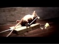 Mouse_and_a_Mousetrap.wmv
