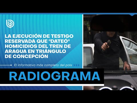 La ejecución de testigo reservada que dateó homicidios del Tren de Aragua en triángulo de Concepción