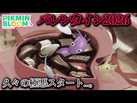 【ピクミンブルーム】バレンタイン2026！久々の極悪スタート...。【Pikmin Bloom】