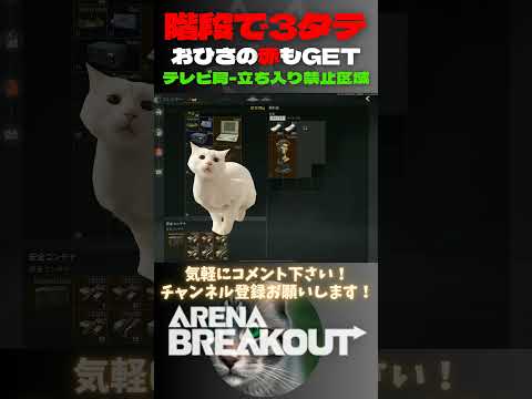 階段で3タテ‼おひさの赤枠も出たぁ😸テレビ局-立ち入り禁止区域【Arena Breakout】#arenabreakout #暗区突围 #アリーナブレイクアウト #fps