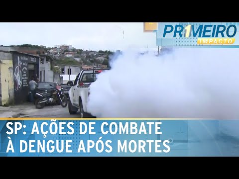 Estado de São Paulo chega a 11 mortes por dengue só neste ano | Primeiro Impacto (16/02/24)