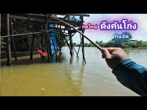 บ้าน นอก ตกปลากดช่วงฤดูหนาวมีตัวเป็นโดนกินหมดฝูงบ้านนอกEP.831