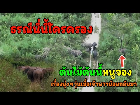 คลิปความสุขช่วยรักษาความทุกข์