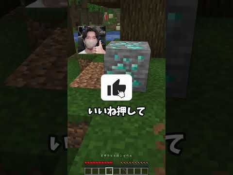 もうトラップ食らわない！