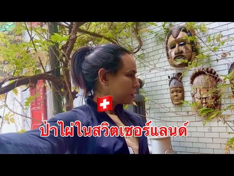 ป่าไผ่ในสวิตเซอร์แลนด์