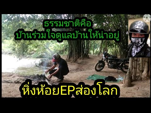 ธรรมชาติใกล้บ้าน.หิ่งห้อยEPส