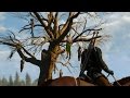   3   -  12 . PC, 60fps. The Witcher 3 Wild Hunt