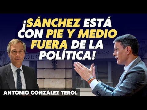 Terol (PP) detalla cuánto va a durar Sánchez en política sin Falcon, sin coche y sin 600 asesores