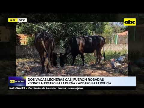 Dos vacas lecheras casi fueron robadas