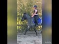  Beloftevolle pony - ook leasing mogelijk