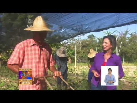 Finca ¨Dos Palmas¨ ejemplo de Agricultura Sostenible en Cuba