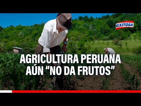 Guido Pennano: Agricultura aún no da frutos y sequías la ponen nuevamente en jaque