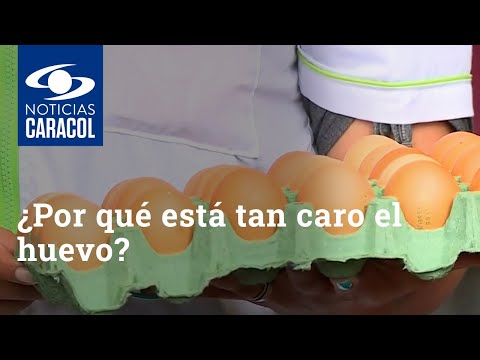 ¿Por qué está tan caro el huevo