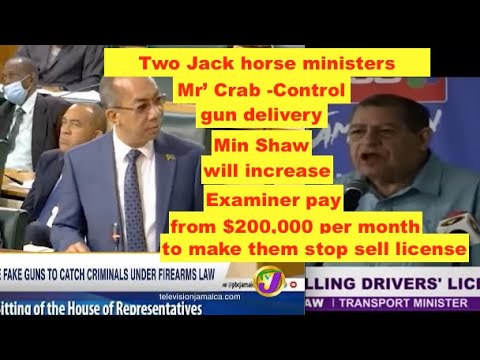 Two Jack Horse Ministers, Mr' Crab,control gun delivery , Shaw-pay Examiner more stop sell license