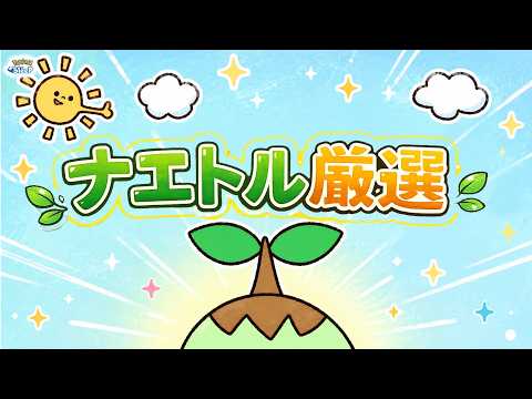 【ポケスリ３周年】ナエトルをとりまくるぞぉ！目指せ最強ヒーラー！ゆるゆる雑談配信🐶初見さんもコメントも大歓迎🐶【ポケモンスリープ】