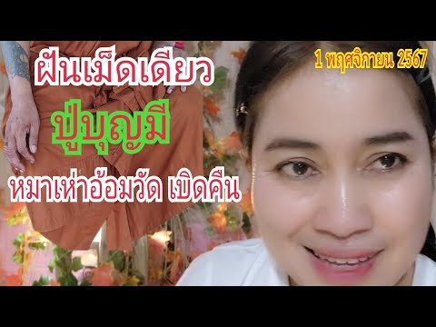 ฝันเม็ดเดียว(ปู่บุญมี)หมาเห่า