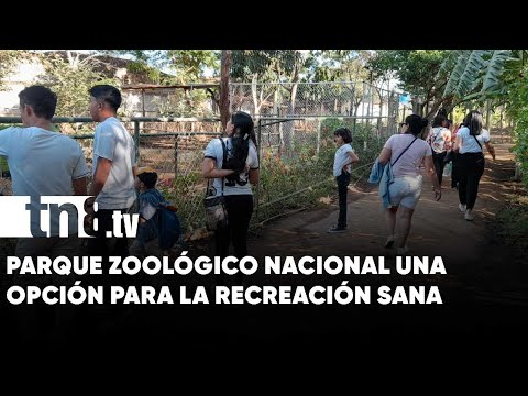 Parque Zoológico Nacional: Un espacio que debe visitar en esta Semana Santa - Nicaragua