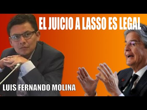 Luis Fernando Molina: Se acerca la destitución de Lasso Miremos el video