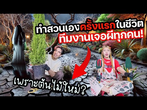 ทำสวนเองครั้งแรกในชีวิตตอน00: