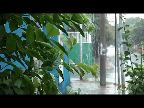 Lluvias leves y sensación térmica elevada, es el pronóstico del clima para Nicaragua