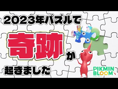 奇跡が起きました【ピクミンブルーム/PikminBloom】