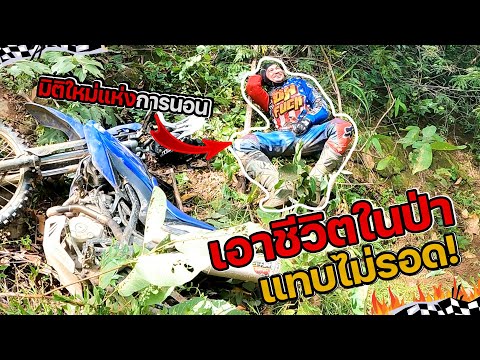 โหดที่สุดในชีวิตเจอดินหนังหมู- โหดที่สุดในชีวิตเจอดินหนังหมู-