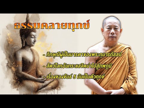 ธรรมคลายทุกข์ฟังยาวๆจากพระมหา