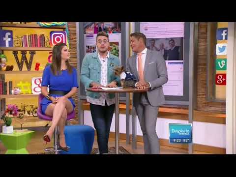 Ana Patricia Gamez hot legs - Despierta America - 07/18/16