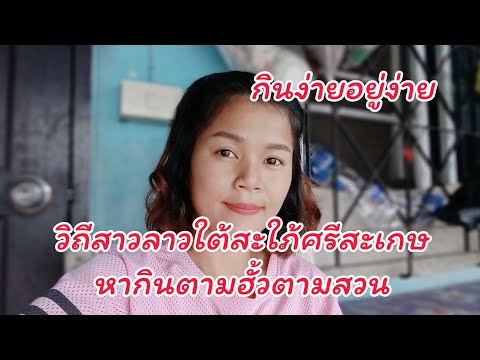 EP.264สาวลาวใต้สะใภ้ศรีสะเกษ