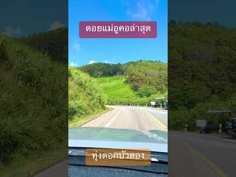 ทุ่งดอกบัวตองroadtriptravel