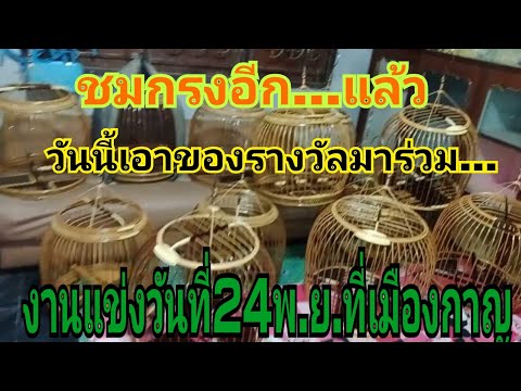 เอาของรางวัลมาร่วมงานแข่งต่อนก