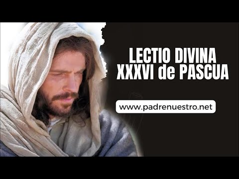 ? LECTIO DIVINA del XXXVI día de PASCUA con palabras del PAPA FRANCISCO y Oraciones