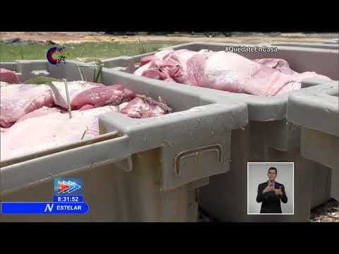 Policía cubana detecta robo de carne en Villa Clara