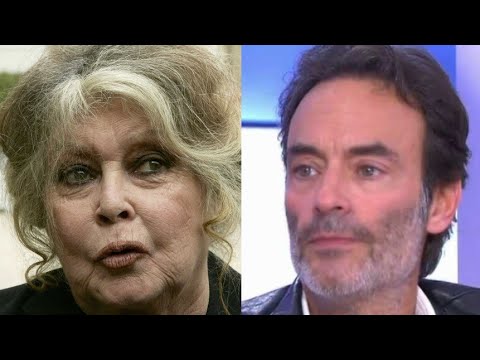 Vous êtes lamentables : Brigitte Bardot explose et tacle les enfants d'Alain Delon