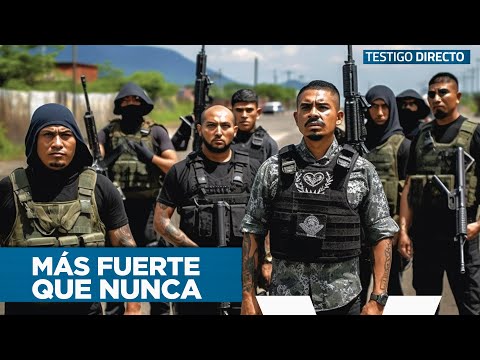 El Poder Oculto del Cartel de Sinaloa: Descubriendo su Verdadero Poder y Alcance en México | Parte 3