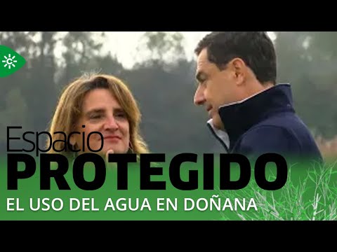 Espacio protegido | El acuerdo sobre el uso del agua en Doñana