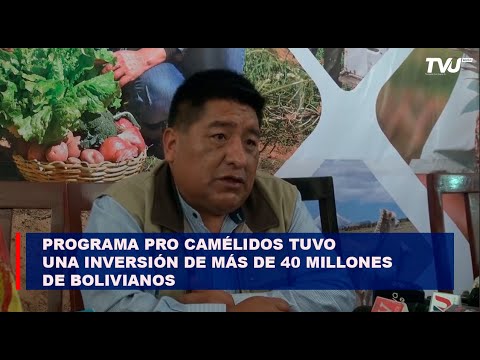 En la gestión 2023 el programa pro camélidos tuvo una inversión de más de 40 millones de bolivianos