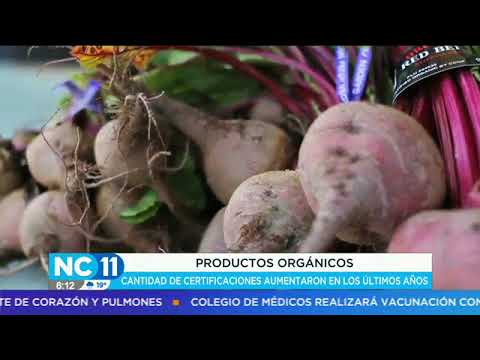 Aumenta la exportación de productos orgánicos