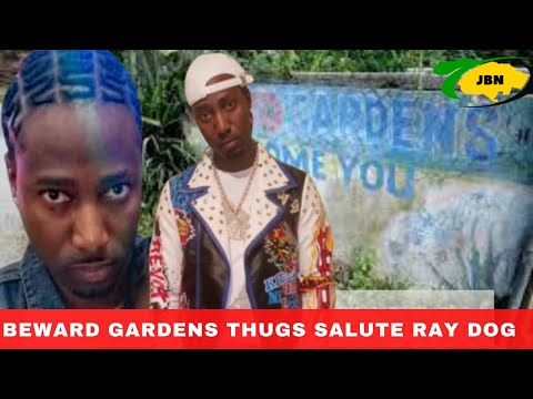 Bedward Gardens ThVgs Stage GVn Salute For US Burial Of G@ngster 'Ray Dog'/JBNN
