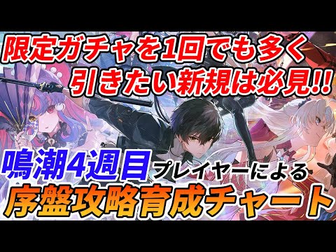 【鳴潮】リナシータで限定キャラや武器を絶対手に入れたい！そんな新規勢の為の序盤育成や攻略情報まとめ！