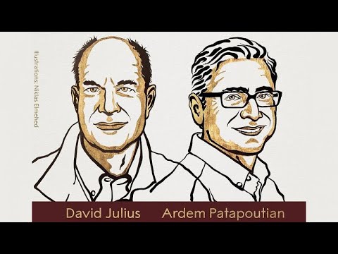 Nobel Prize in Physiology or Medicine awarded to David Julius and Ardem Patapoutian