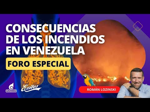 Las consecuencias que debe saber de los incendios en Venezuela | Román Lozinski