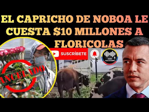 CAPRICHO DE DANIEL NOBOA LE CUESTA PÉRDIDAS DE 10 MILLONES DE DOLARES A FLORICULRORES NOTICIAS RFE