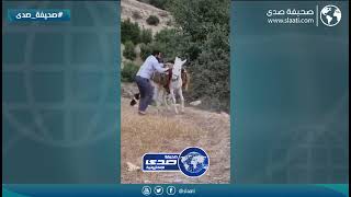 هذا والله النشبة