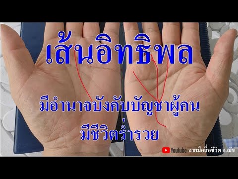 เส้นอิทธิพลมีอำนาจในการบังคับ