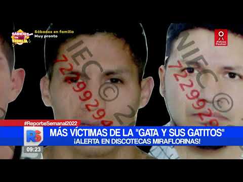 #ReporteSemanal | Más víctimas de la Gata y sus gatitos, ¡Alerta en discotecas miraflorinas!.