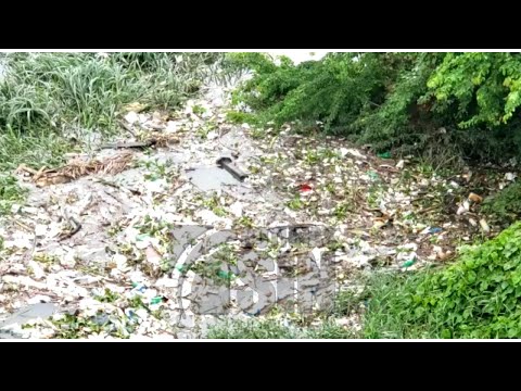 Desaprensivos lanzan basura al río Yaque de Norte
